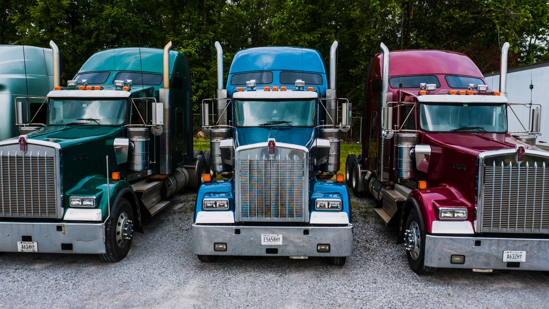 American semi trucks parked together beside leafy trees